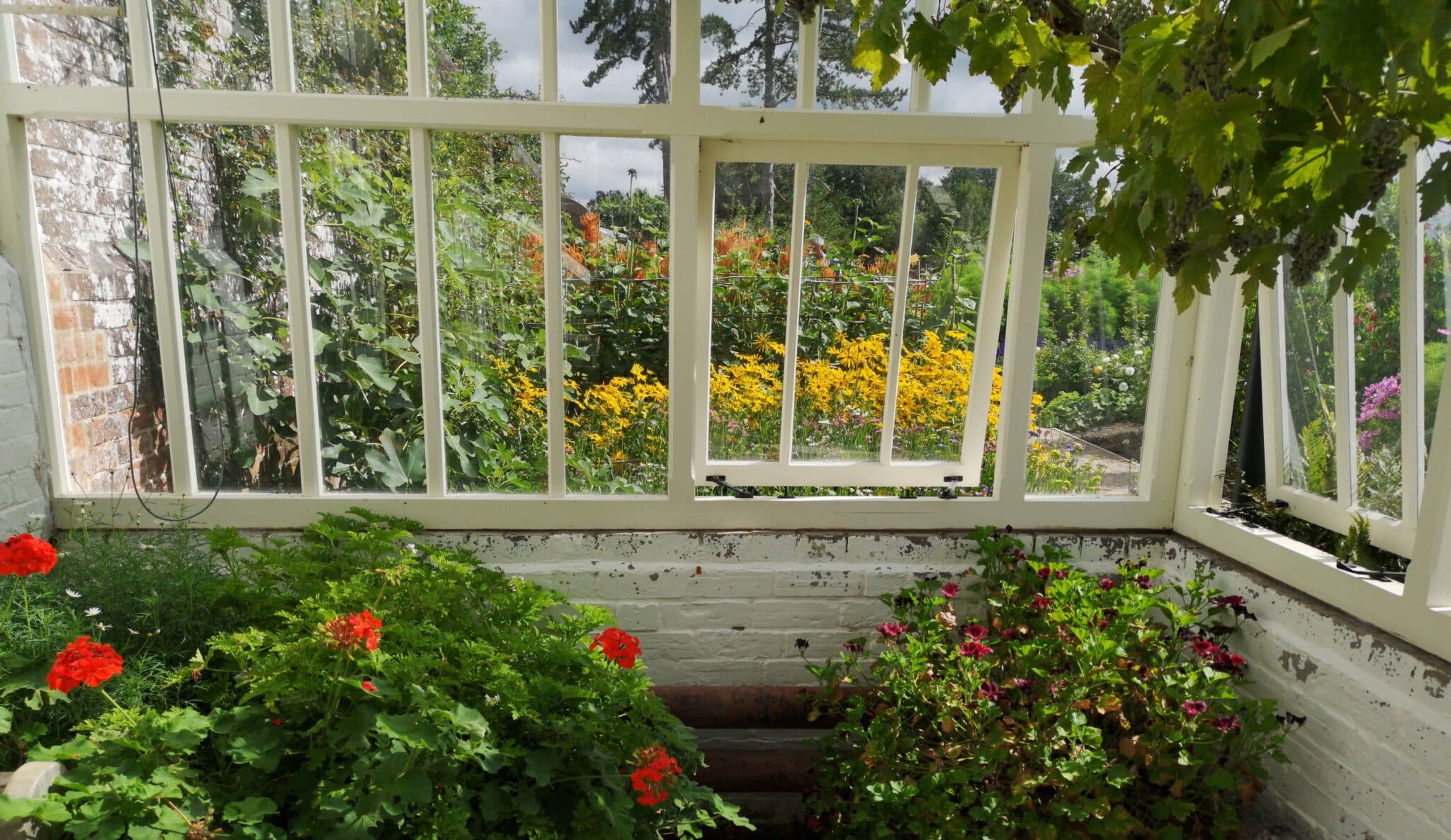 Garden Windows.