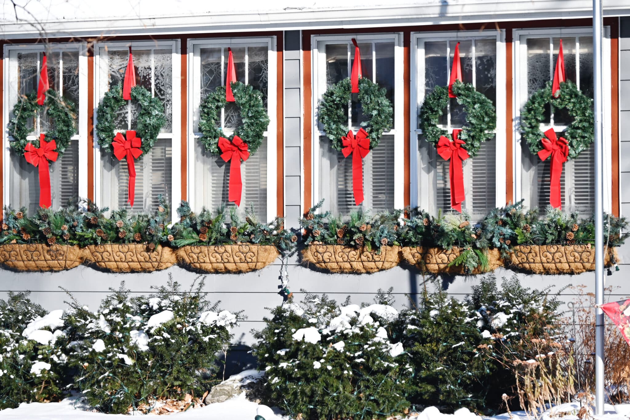 Festive Wreaths at Windows.