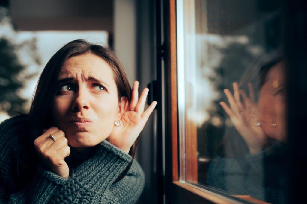 Soundproof Windows.