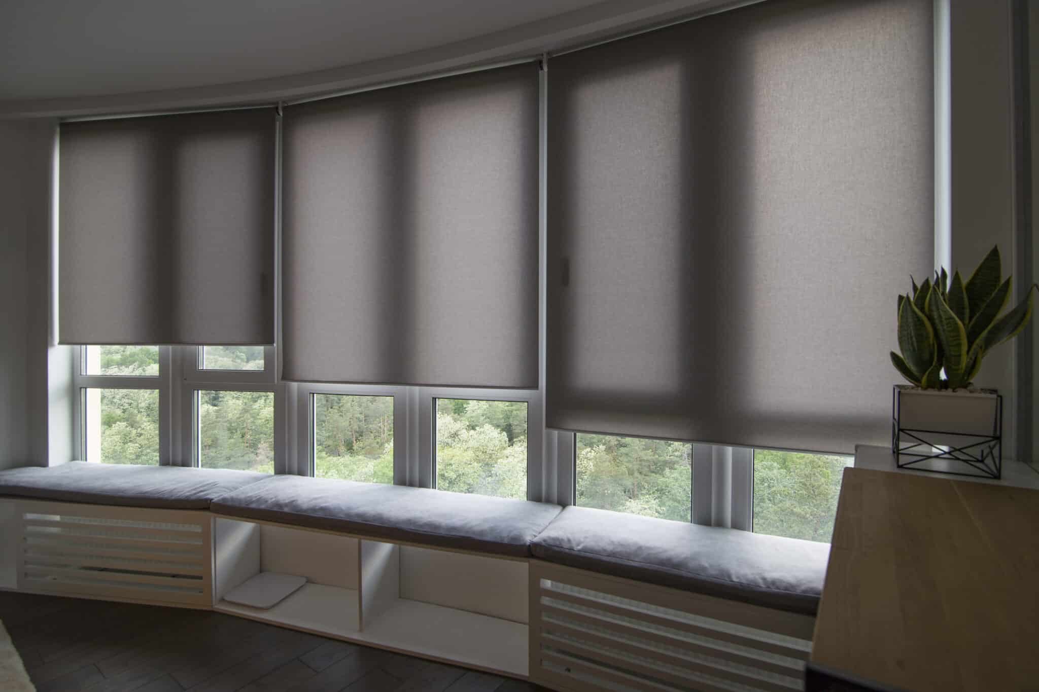 Solar Shades.