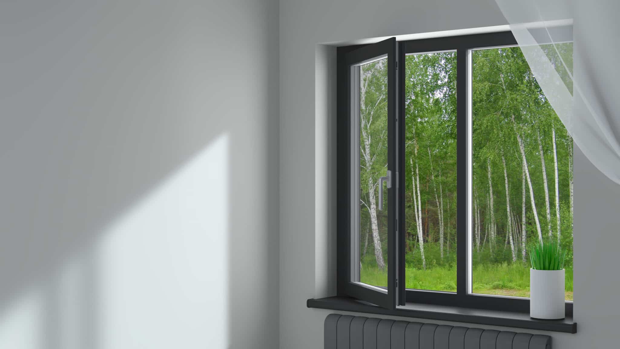 Acoustic Window Solutions