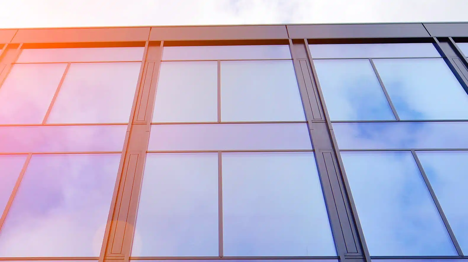 Full-Spectrum Window Films.