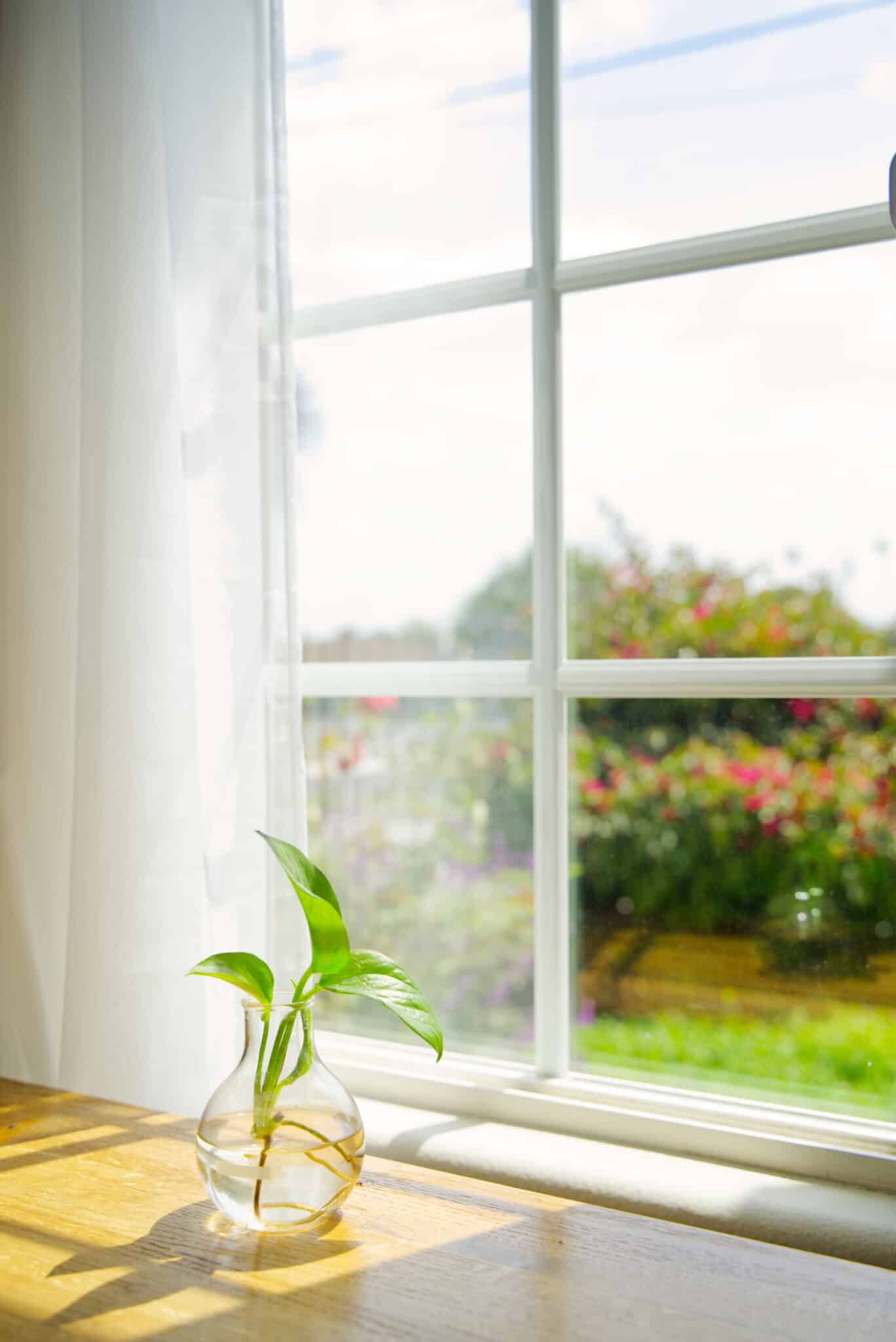 Eco-Friendly Windows.